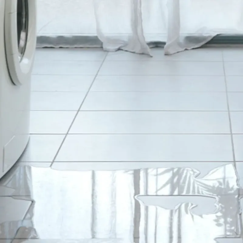 Appliance Leak Cleanup in Oak Trail Shores, TX