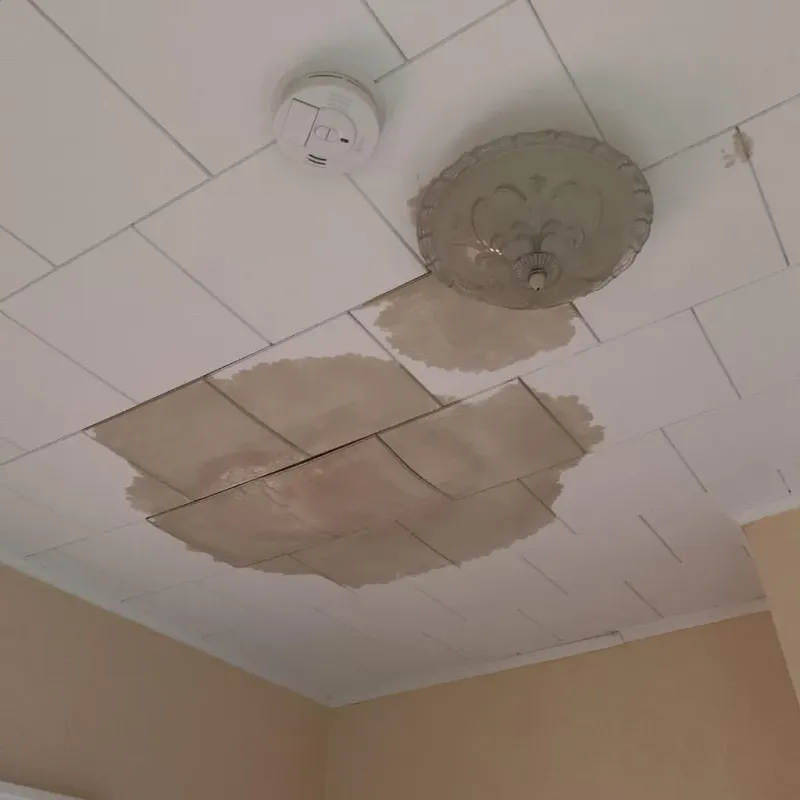 Ceiling Water Damage Repair in Oak Trail Shores, TX