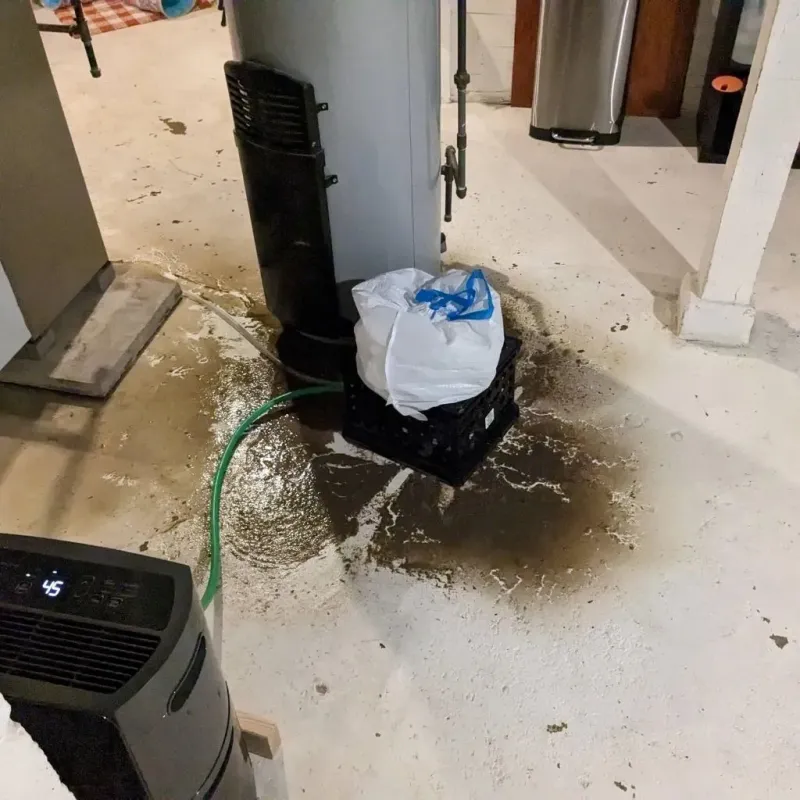 Sewage Backup Cleanup Service in Oak Trail Shores, TX